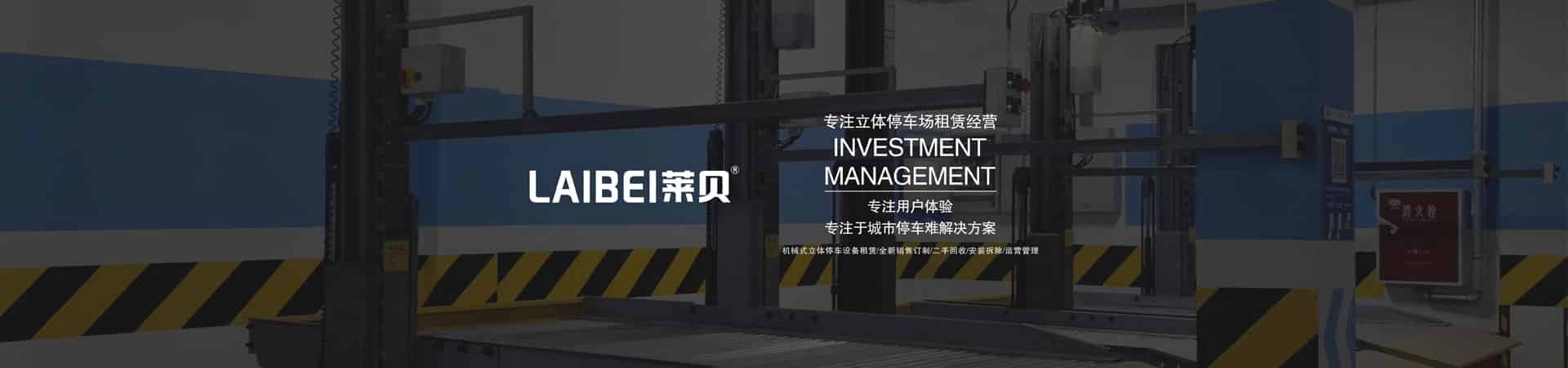 PJS201-23家用两柱停车设备